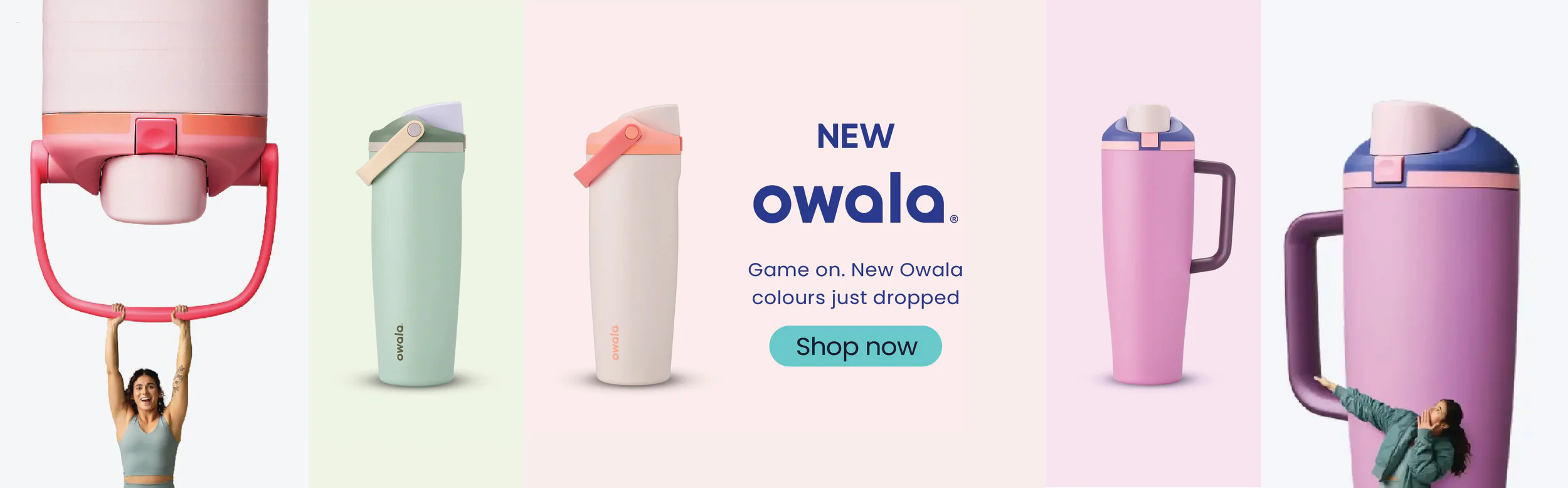 Elevate Your Culinary Craft